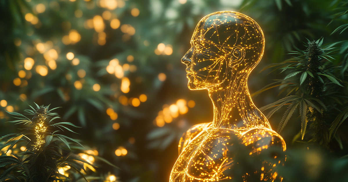 A CBD szerepe az epilepszia kezelésében