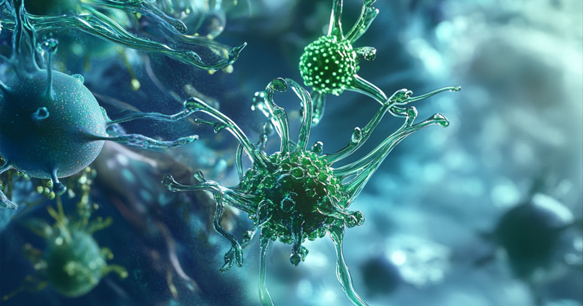 A CBD és a daganatos betegségek – Hogyan hatnak a kannabinoidok a rákos sejtekre?